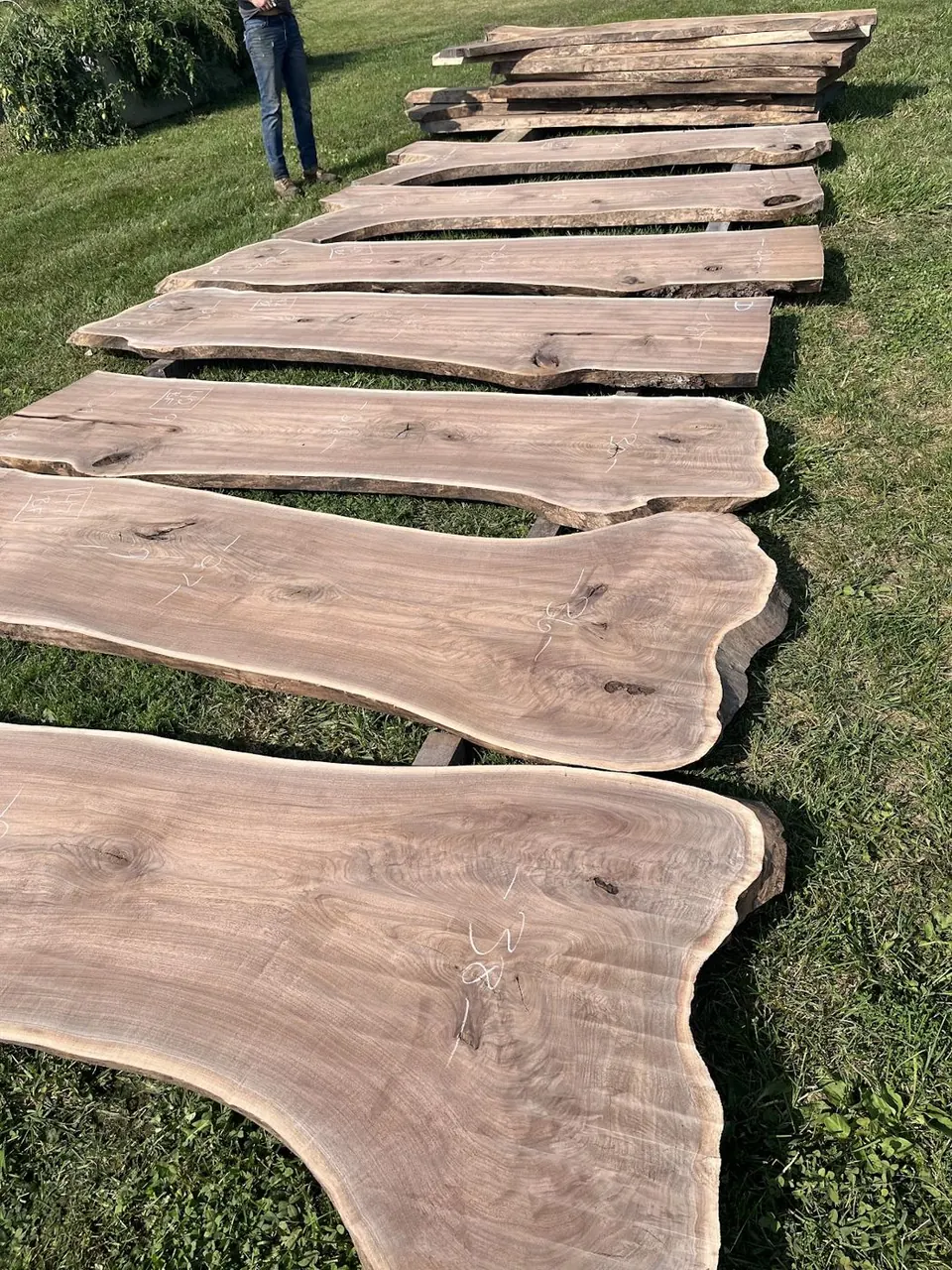 Row of live-edge slabs on the grass