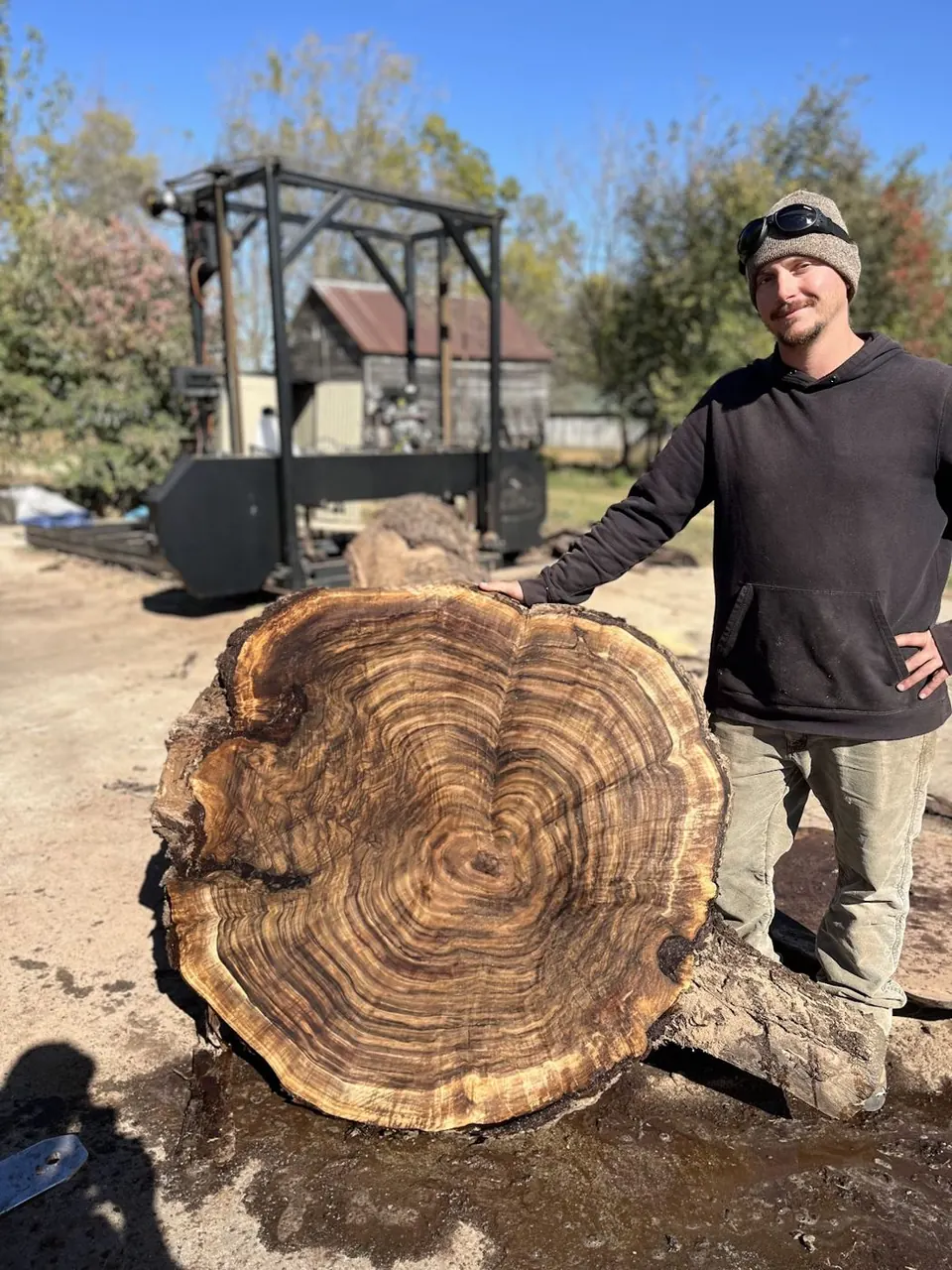 Our sawyer beside a giant log round
